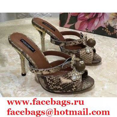 Dolce & Gabbana Crystal Heel 10.5cm Python Mules Camel 2021